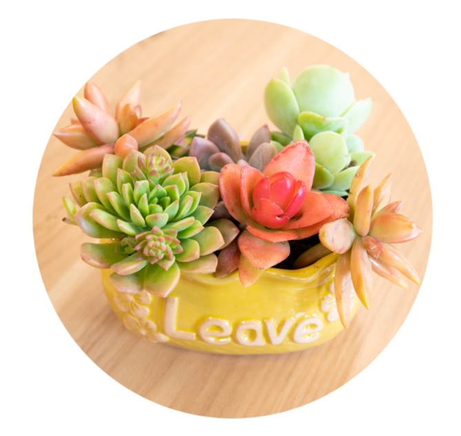 F47872E7-5875-4ded-B698-1E925E1746A8 (1).png